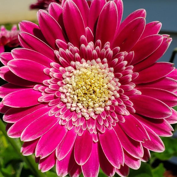 Meet your Posher, Kimberly - Picture 1 of 1